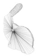 bunny_tangled
