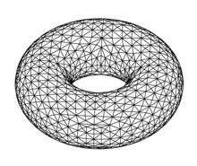 torus_optimized