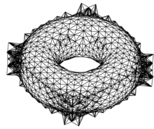 torus_tangled